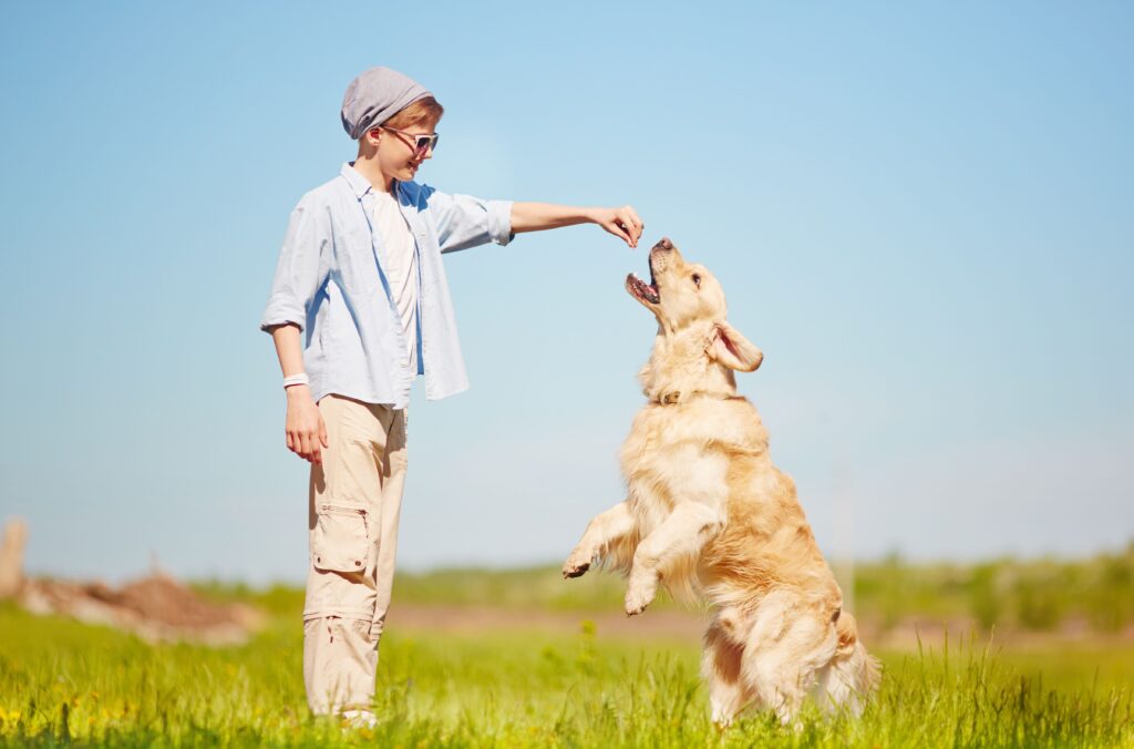 Skuteczne metody przywołania psa