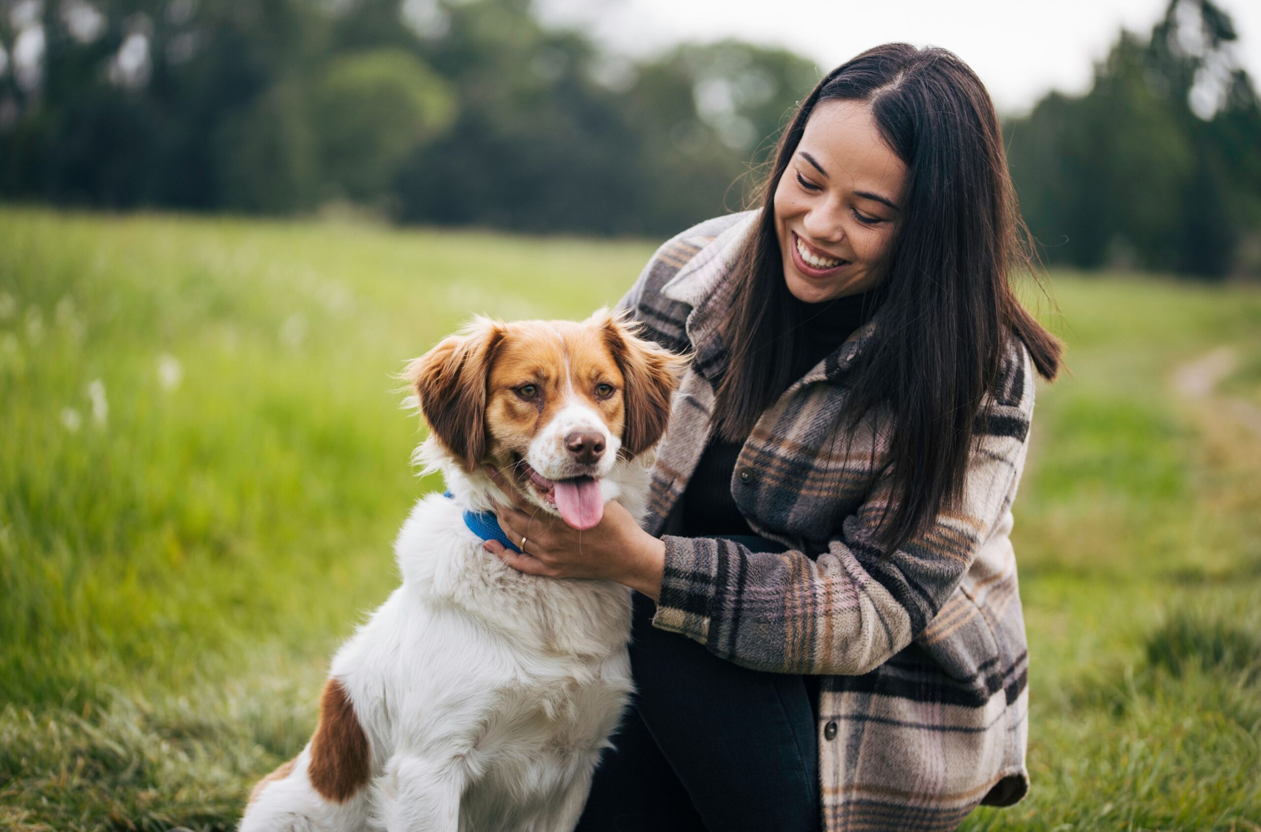 Jak nauczyć psa leżeć – krok po kroku